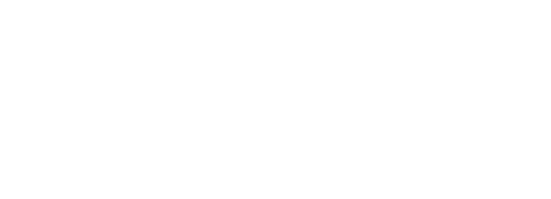 LVV Services Logo